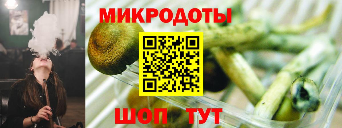 Галлюциногенные грибы мухоморы  Вход с VPN  даркнет сайт  Электрогорск 