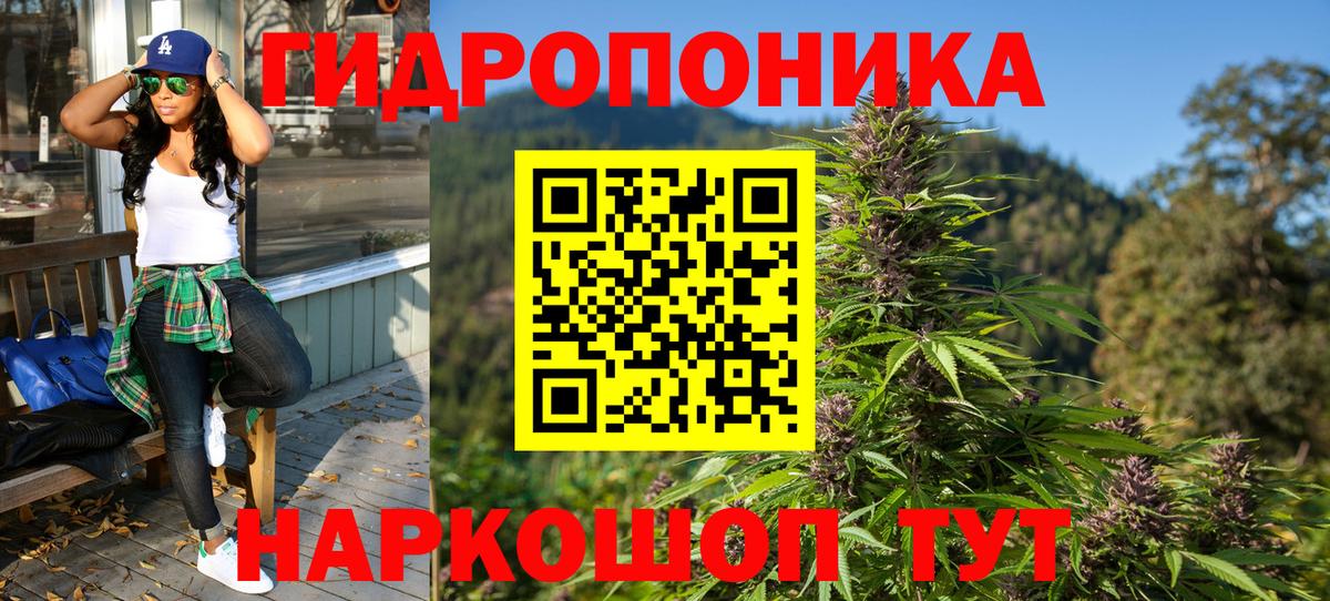 Электрогорск  Марихуана AK-47  Бошки Шишки сатива  Канабис планчик  Вход с VPN 